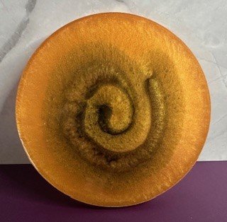 Bear Paw - Image 2
