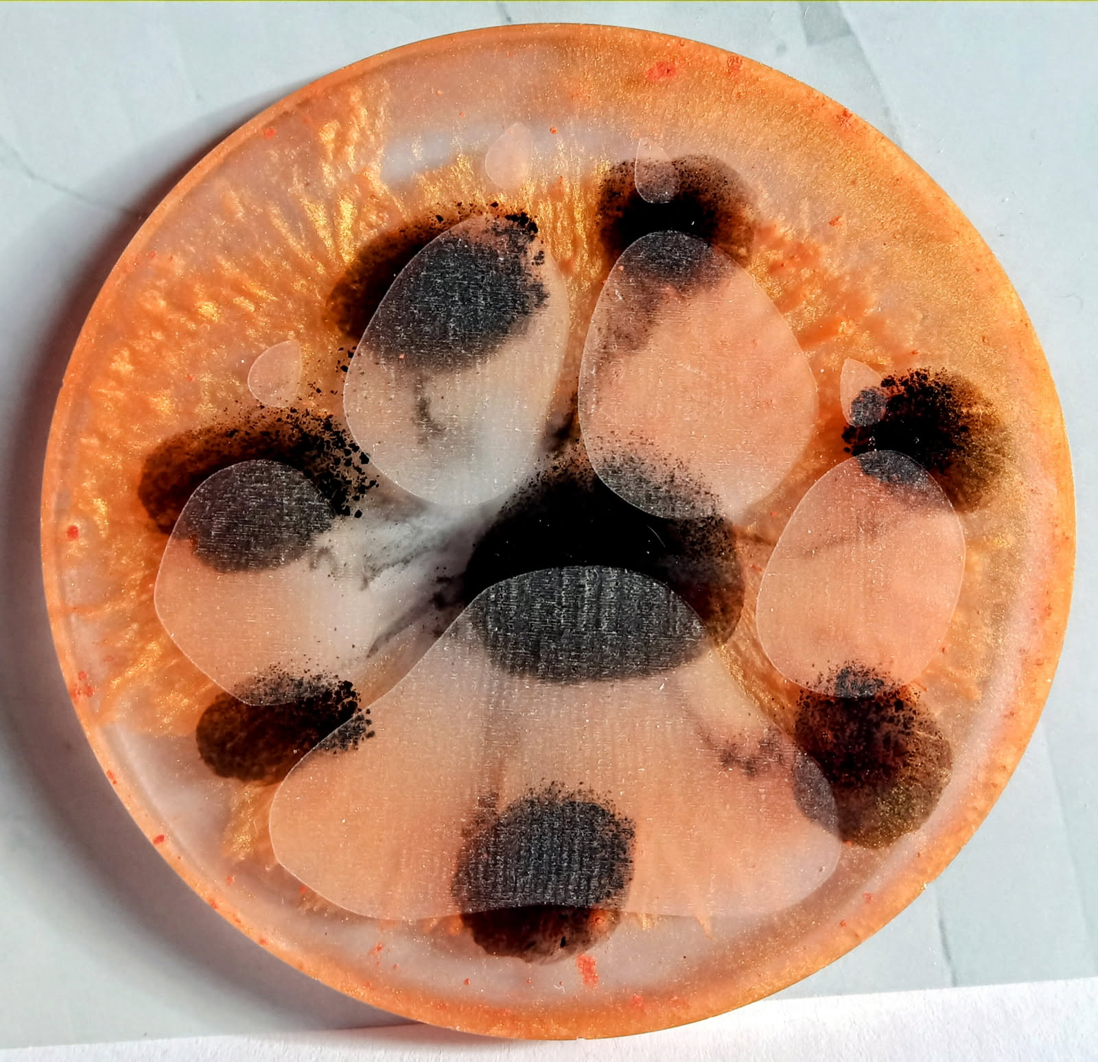 Marmalade Paw Print