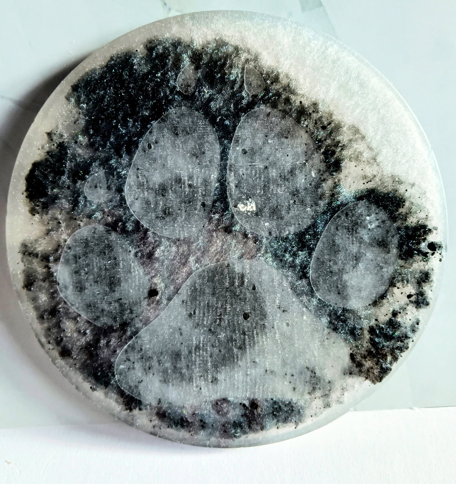 Arctic Paw Print