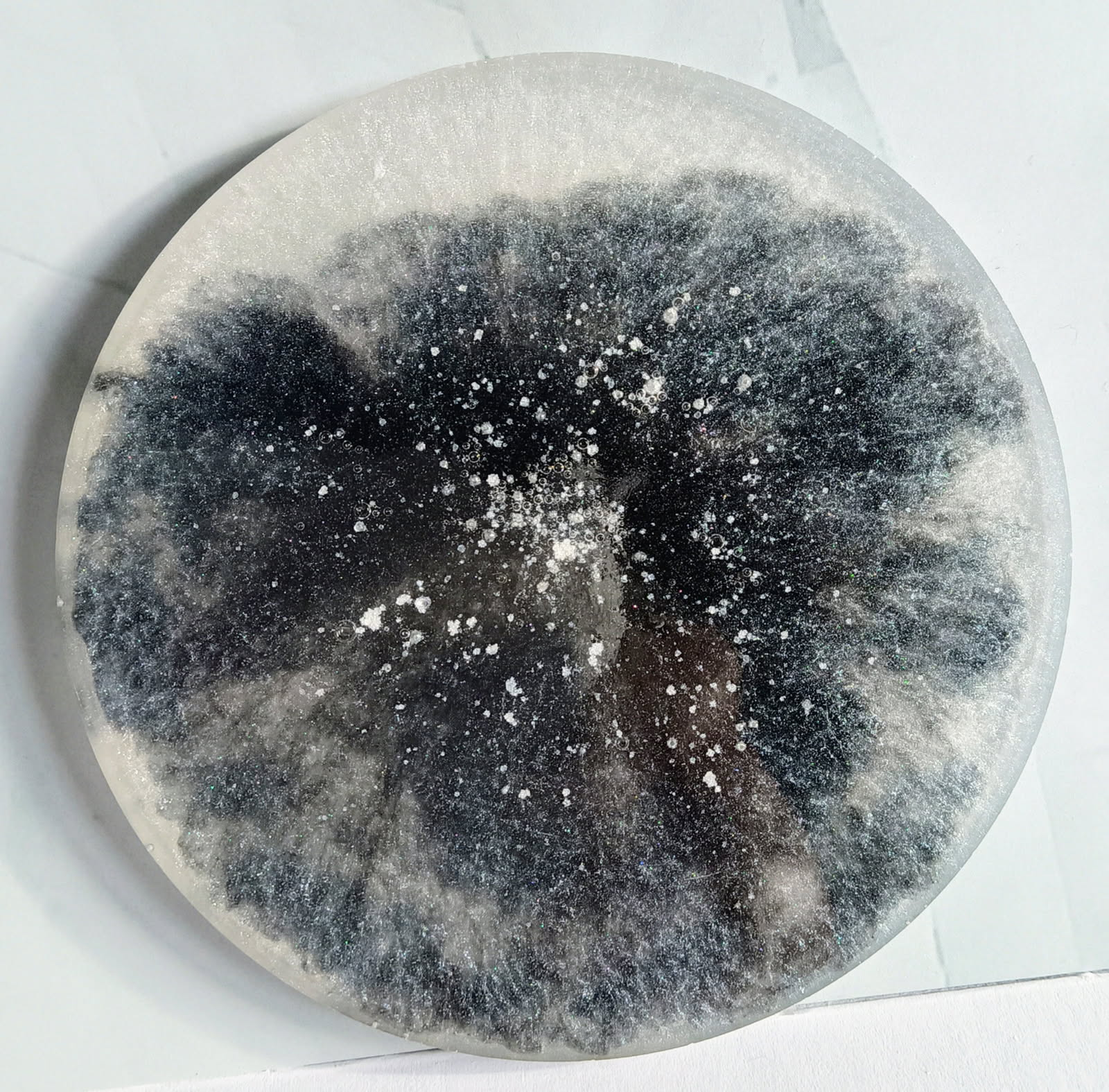 Arctic Paw Print - Image 2