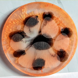 Marmalade Paw Print