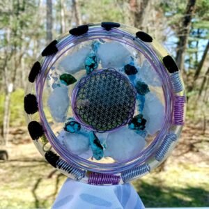 Flower Spiral of Life